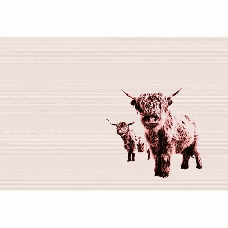 Digitaldruck-Tapete Highland Cows livingwalls (1036339) Zertifiziert