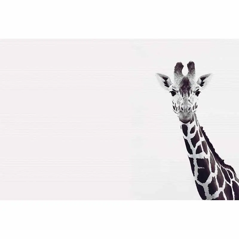 Digitaldruck-Tapete Giraffe Potrait livingwalls (1036336) Top-Seller