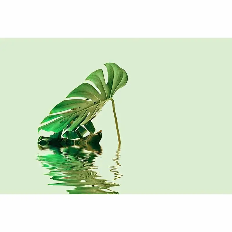 Zertifiziert Digitaldruck-Tapete Monstera Leaf Water 2 livingwalls (1036330)