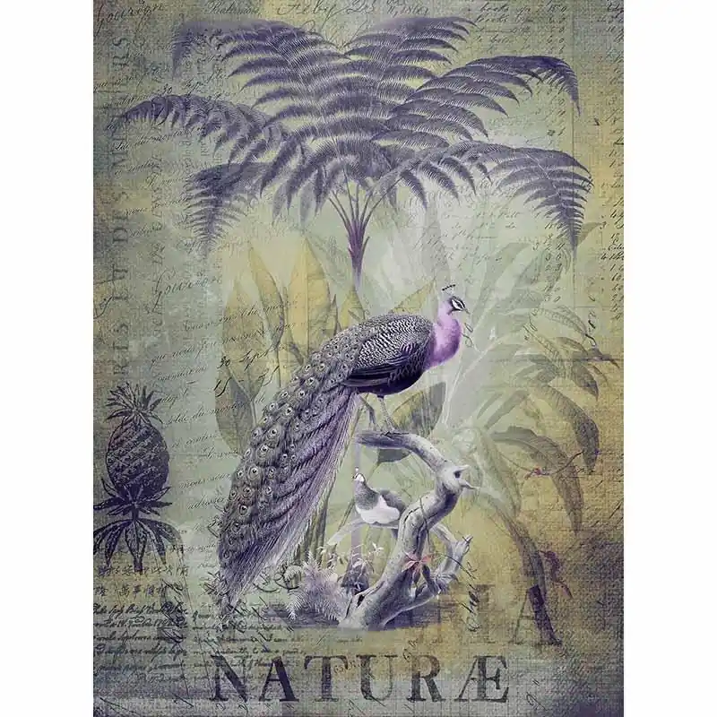 Digitaldruck-Tapete Peacock Jungle 2 livingwalls (1036310) Neue Kollektion