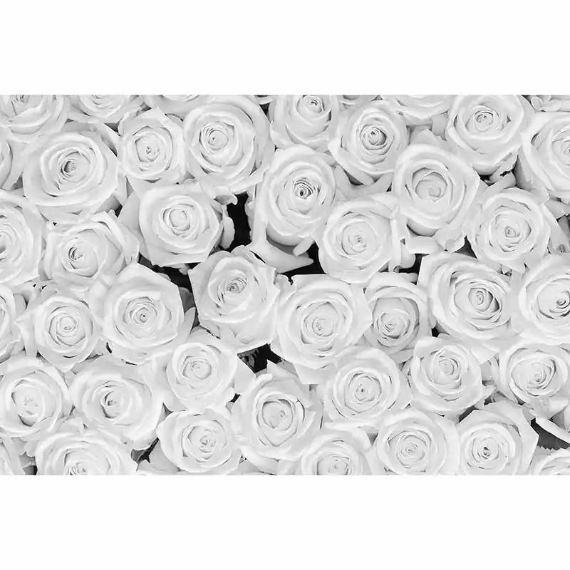 Angebot Digitaldruck-Tapete White Roses livingwalls (1034339)