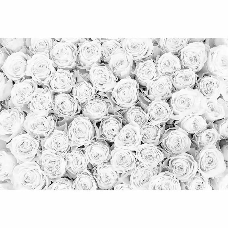 Nur Heute Digitaldruck-Tapete WhiteRoses livingwalls (1034336)