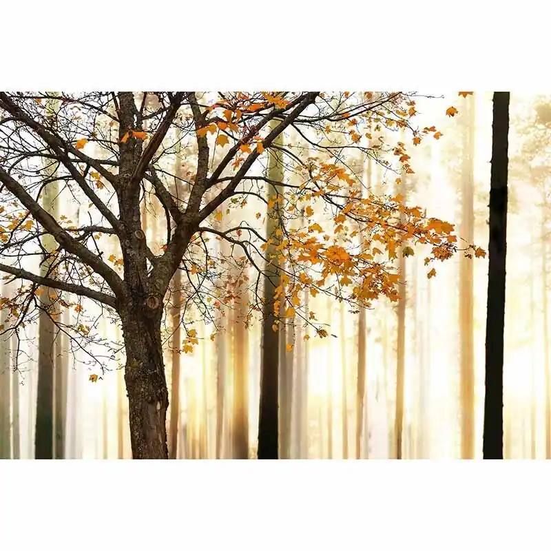 Preiswert Digitaldruck-Tapete TreeDetail livingwalls (1034374)