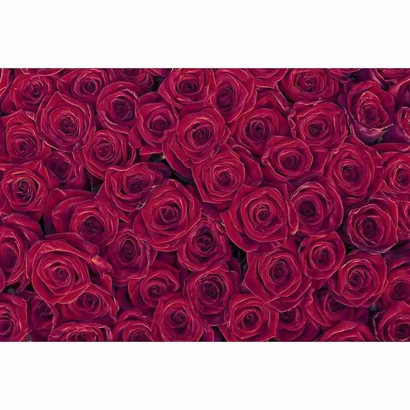 Markenprodukt Digitaldruck-Tapete RedRoses livingwalls (1034337)