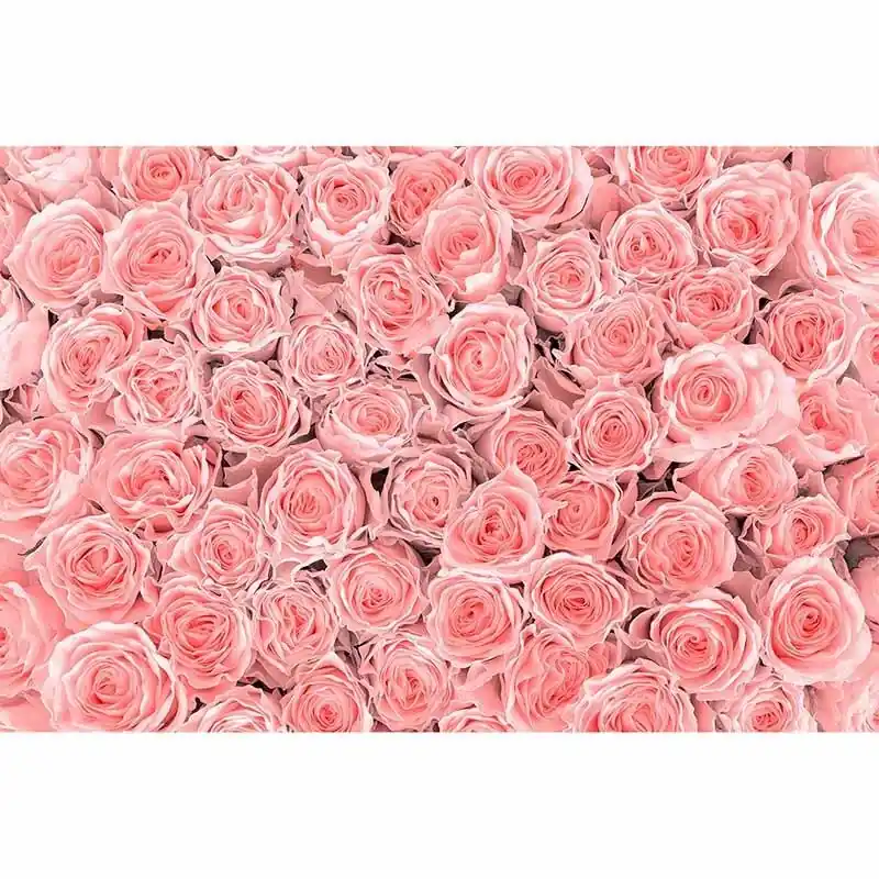 Digitaldruck-Tapete PinkRoses livingwalls (1034335) Knallerangebot