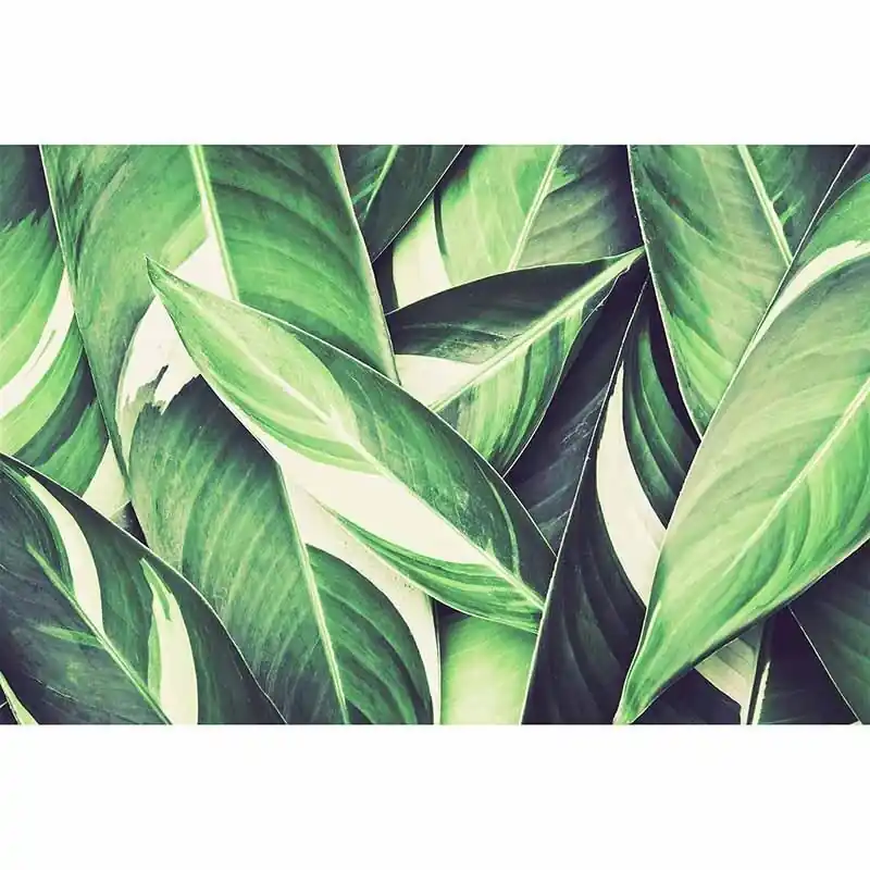 Jetzt Bestellen Digitaldruck-Tapete PamlsLeaf3 livingwalls (1034444)