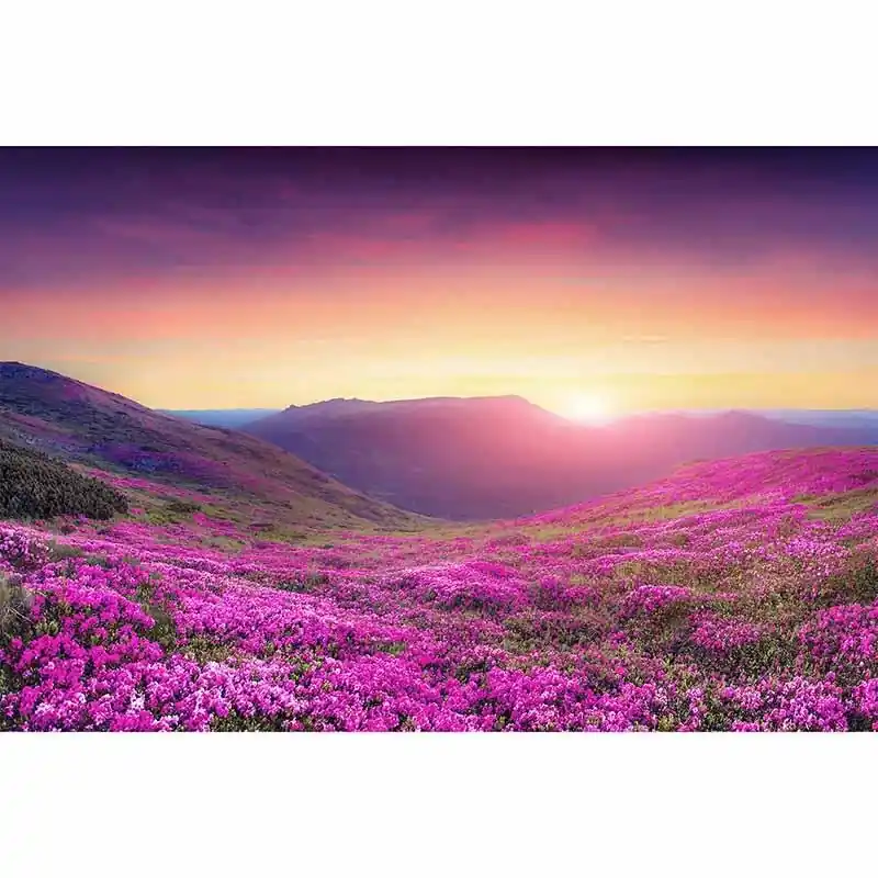 Digitaldruck-Tapete MoutainMeadow livingwalls (1034358) Markenware
