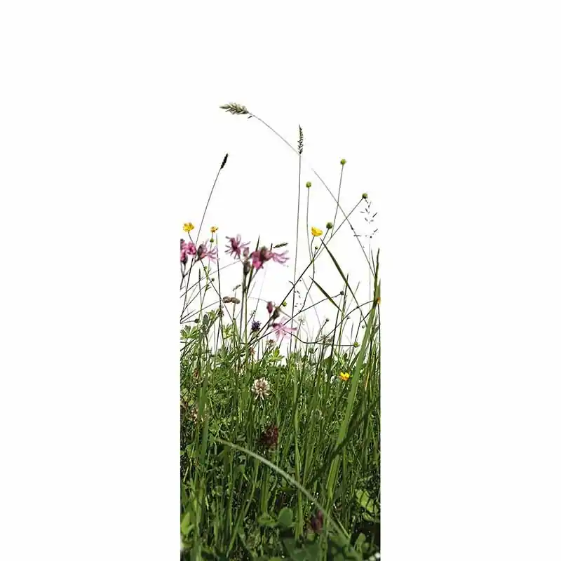 Neue Kollektion Digitaldruck-Tapete Grass livingwalls (1034541)