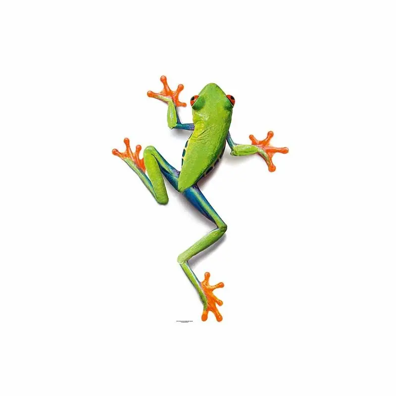 Digitaldruck-Tapete Frog livingwalls (1034253) Jetzt Bestellen