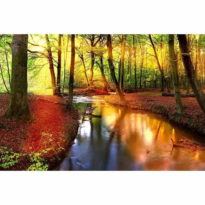 Neue Ware Digitaldruck-Tapete ForestStream livingwalls (1034307)