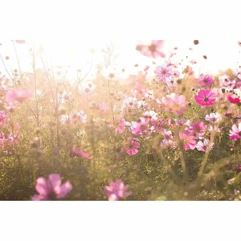 Jetzt Bestellen Digitaldruck-Tapete Flowers livingwalls (1034346)