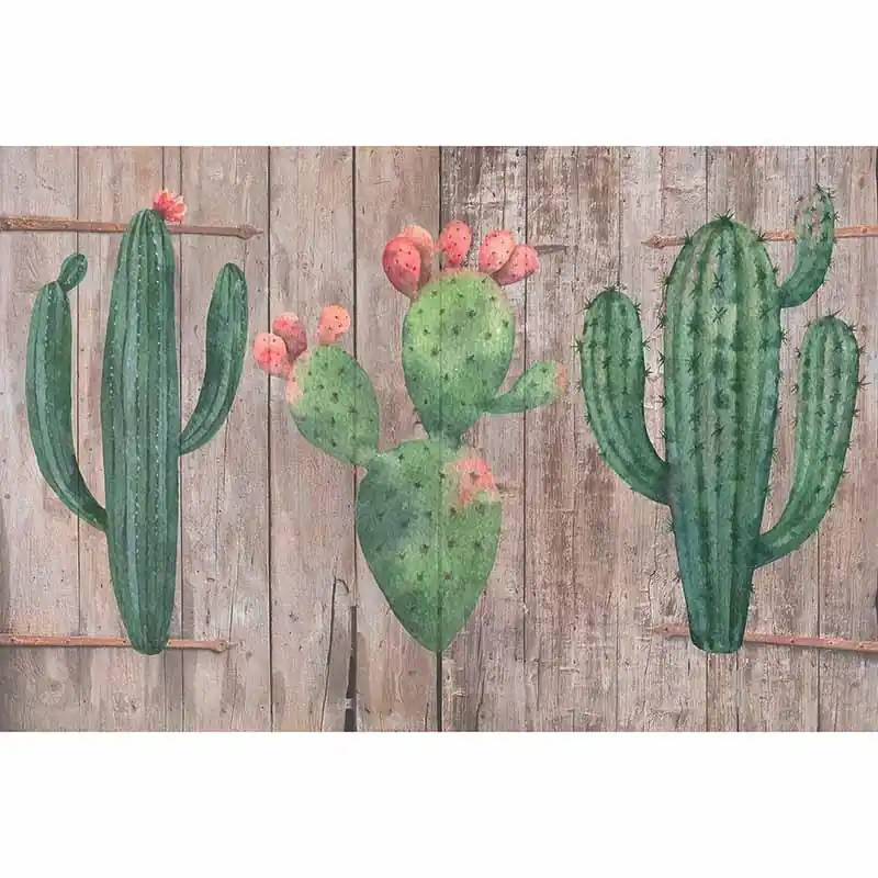 Online Kaufen Digitaldruck-Tapete Cactus2 livingwalls (1034439)