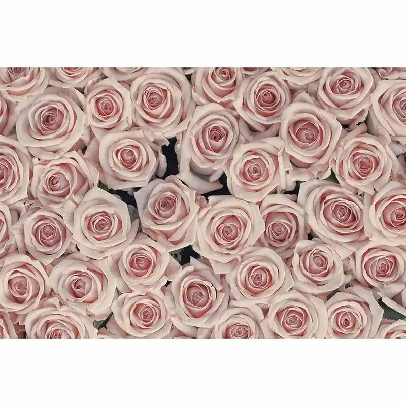 Digitaldruck-Tapete AntiqueRoses livingwalls (1034338) Markenprodukt
