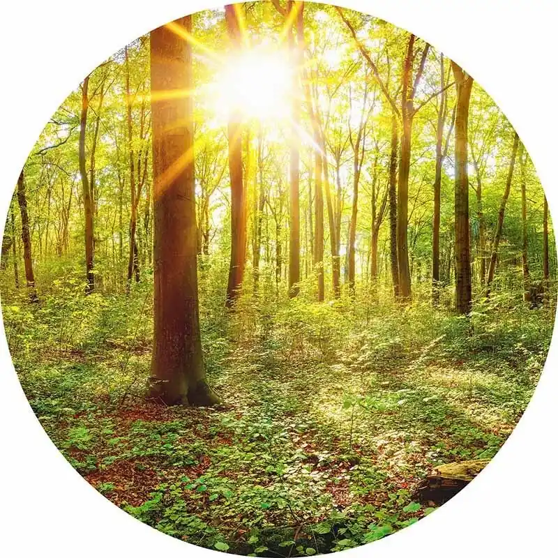 Saisonangebot Digitaldruck-Tapete Deep in the Woods livingwalls (1034166)