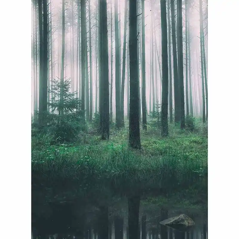 Digitaldruck-Tapete In the Woods livingwalls (1034136) Letzte Chance