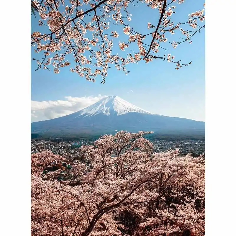 Geprüft Digitaldruck-Tapete Mount Fuji in Japan livingwalls (1034134)