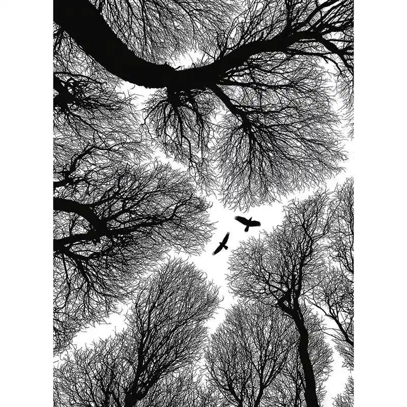 Digitaldruck-Tapete Escape livingwalls (1034117) Rabatt