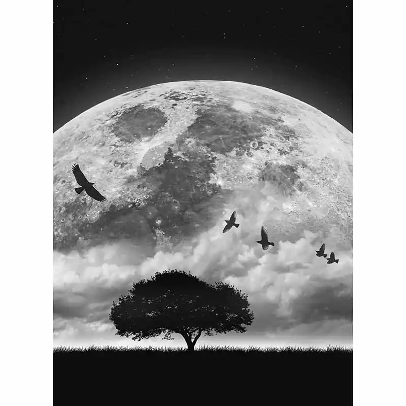 Rabatt Digitaldruck-Tapete Moon and Birds livingwalls (1034116)