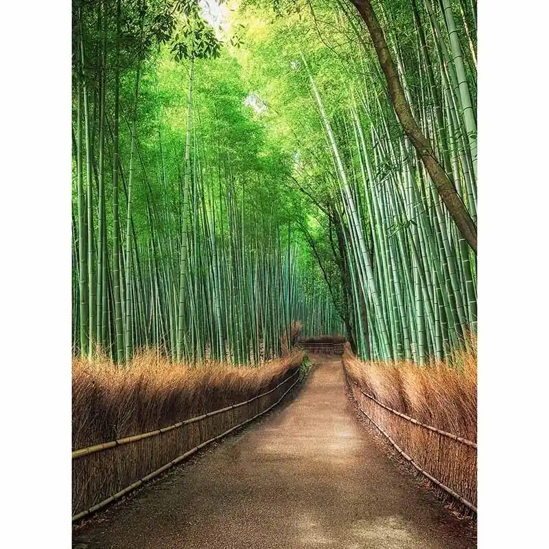 Günstig Digitaldruck-Tapete Bamboo Grove Kyoto livingwalls (1034112)