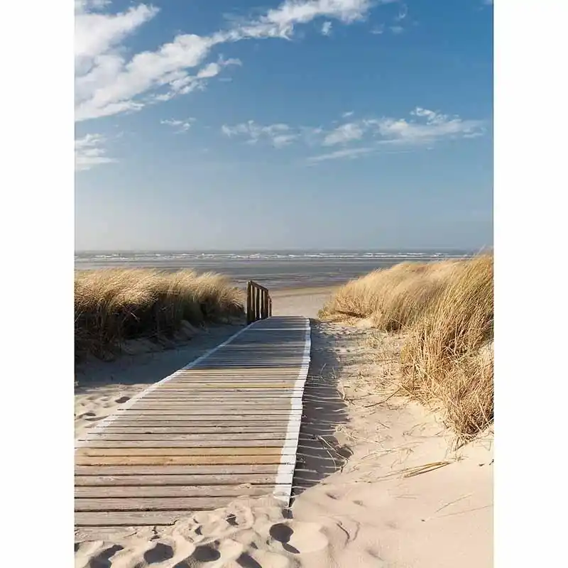 Preis Gesenkt Digitaldruck-Tapete On the Baltic Sea livingwalls (1034090)