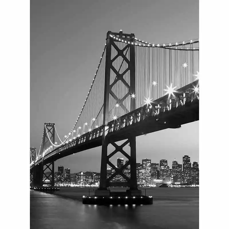 Neu Digitaldruck-Tapete San Francisco Skyline livingwalls (1034061)