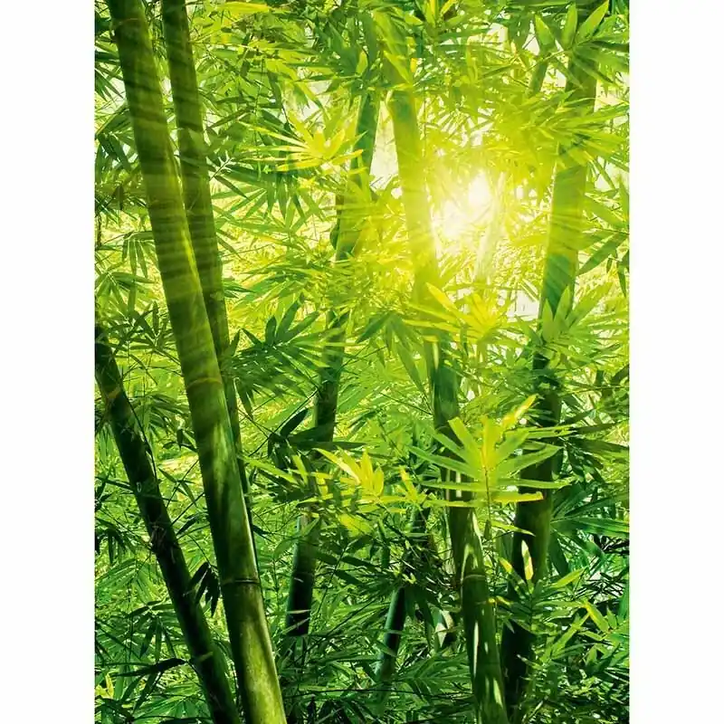 Digitaldruck-Tapete Bamboo Forest livingwalls (1034058) Solange Der Vorrat Reicht