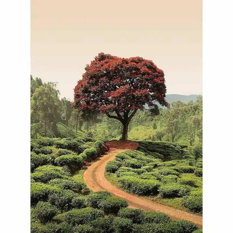 Digitaldruck-Tapete Red Tree And Hills In Sri Lanka livingwalls (1034025) Versand Am Gleichen Tag