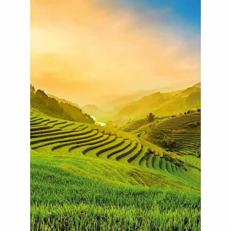 Digitaldruck-Tapete Terraced Rice Field In Vietnam livingwalls (1034022) Neu Im Sortiment