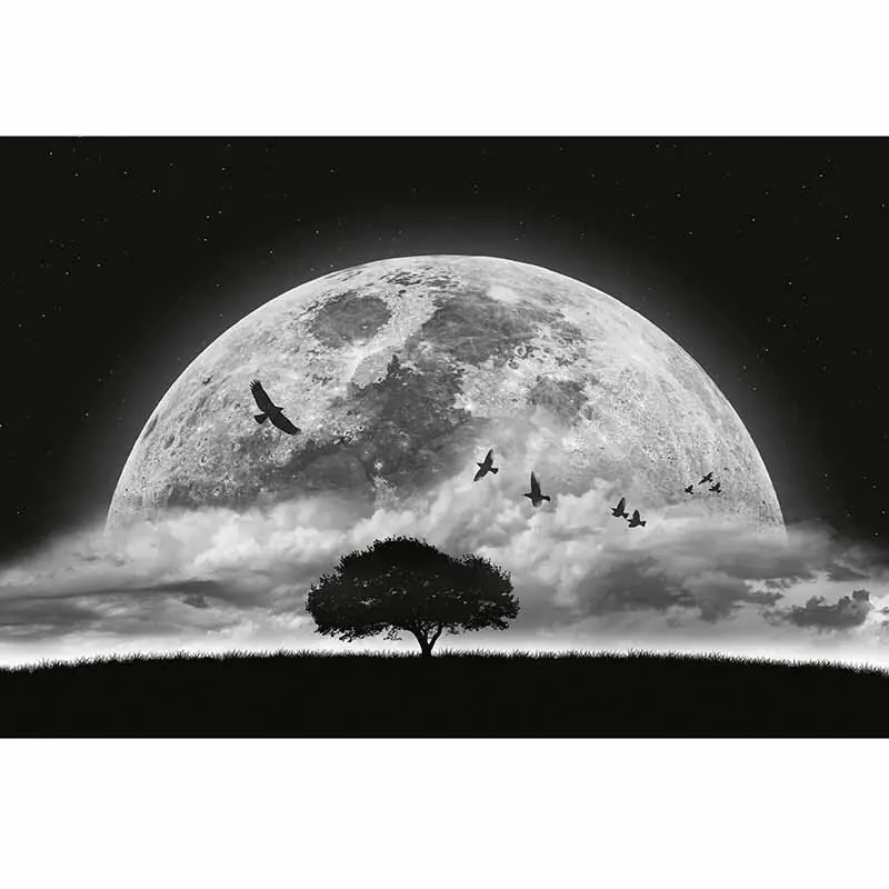 Wochenendangebot Digitaldruck-Tapete Moon and Birds livingwalls (1034007)