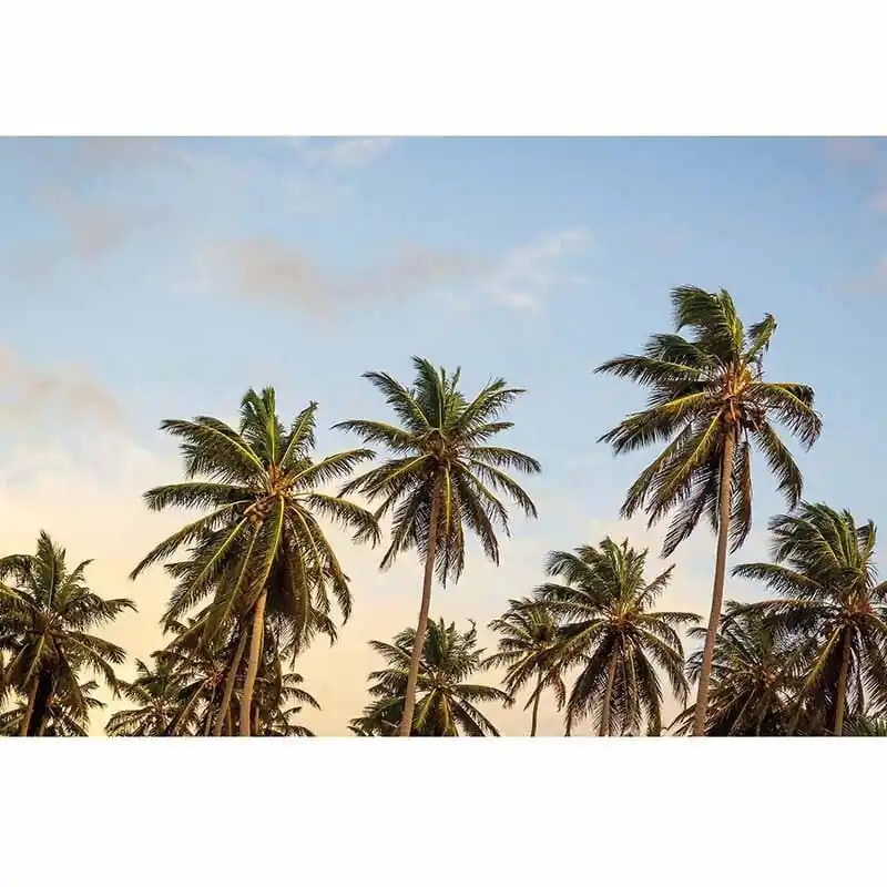 Zertifiziert Digitaldruck-Tapete Take me to Ibiza livingwalls (1034004)