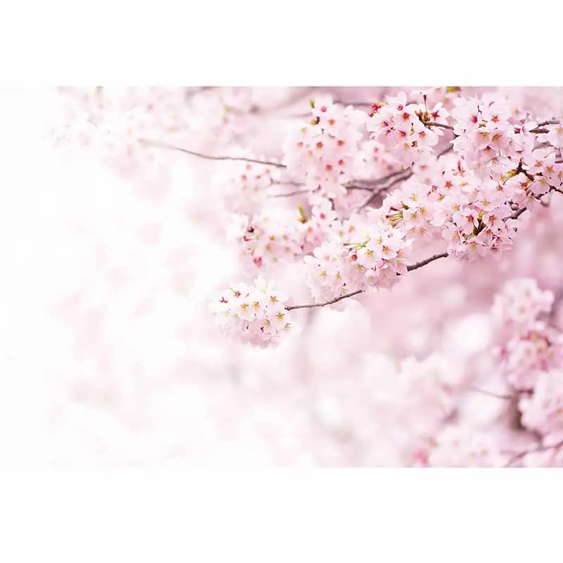 Angebot Digitaldruck-Tapete Delicate Flowers livingwalls (1033991)