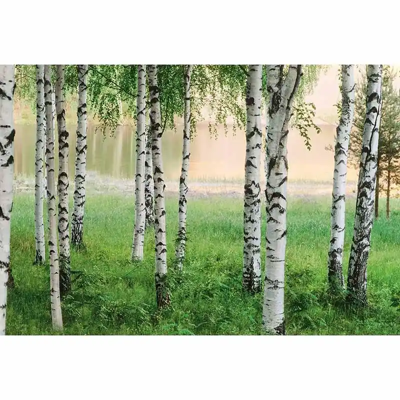 Abverkauf Digitaldruck-Tapete Nordic Forest livingwalls (1033970)
