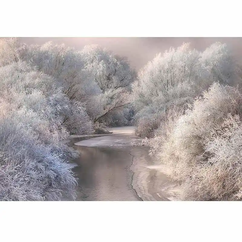 Abverkauf Digitaldruck-Tapete Frozen Forrest livingwalls (1033932)