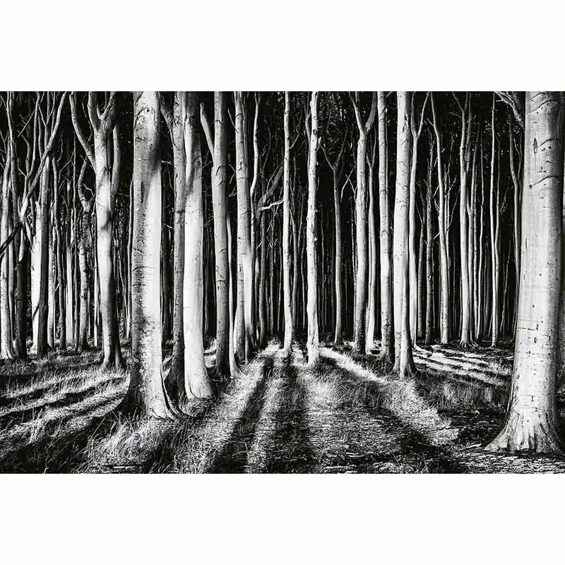Beliebt Digitaldruck-Tapete Ghost Forest livingwalls (1033903)