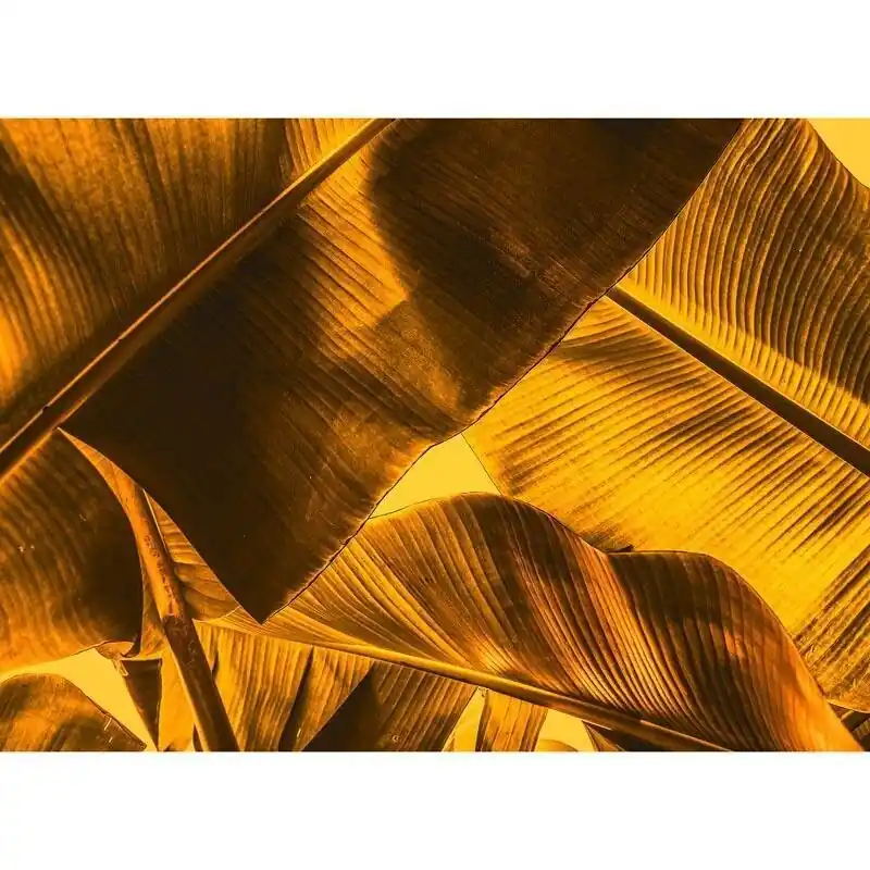 Versand Am Gleichen Tag Digitaldruck-Tapete Broken Leaf 2 livingwalls (1031884)