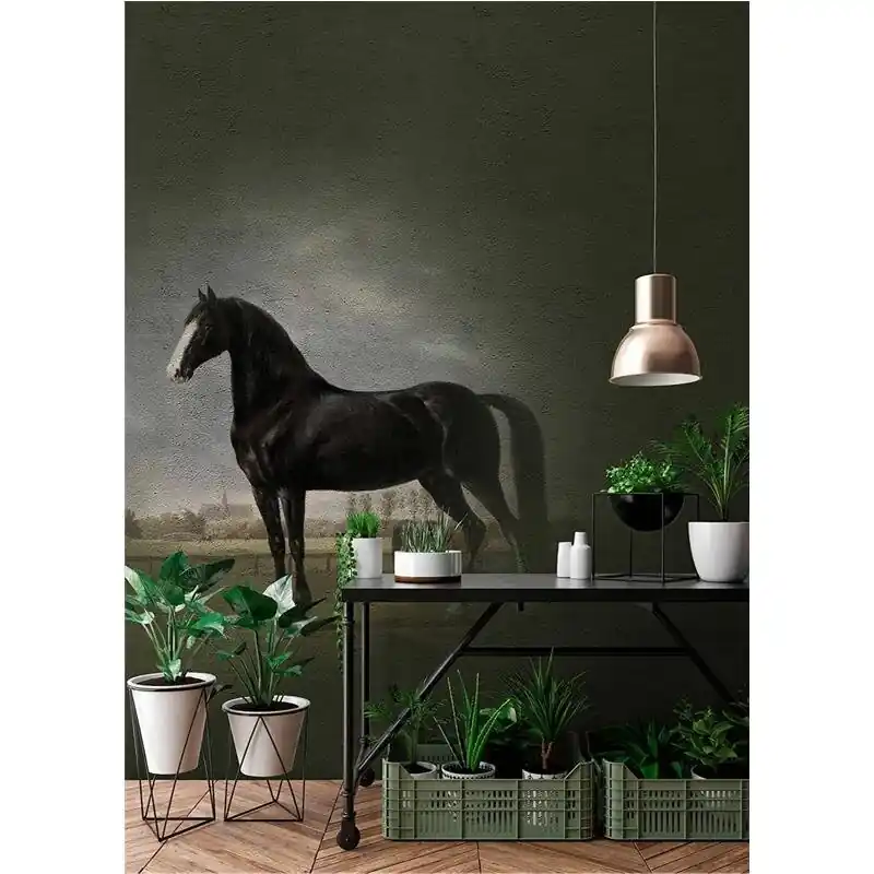 Begrenztes Angebot Digitaldruck-Tapete Fresco 4 livingwalls (1024480)