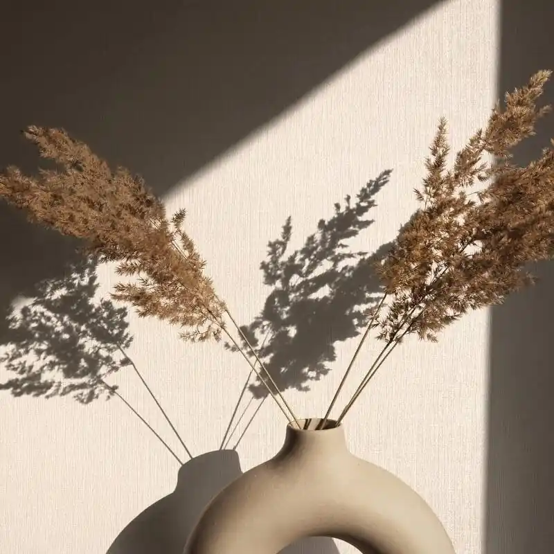 Tapete Beige, Creme Novamur Vliestapete (1044833) Markenprodukt