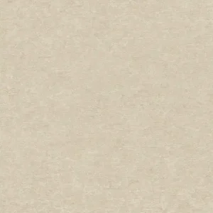 Beige Tapete, Putzimitat, A65603, Vavex 2025 Meistverkauft