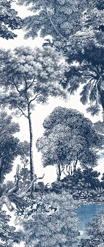 Fototapete, blau, Wald, Bäume, DGSAL1022-260, Amazone, Masureel Zertifiziert