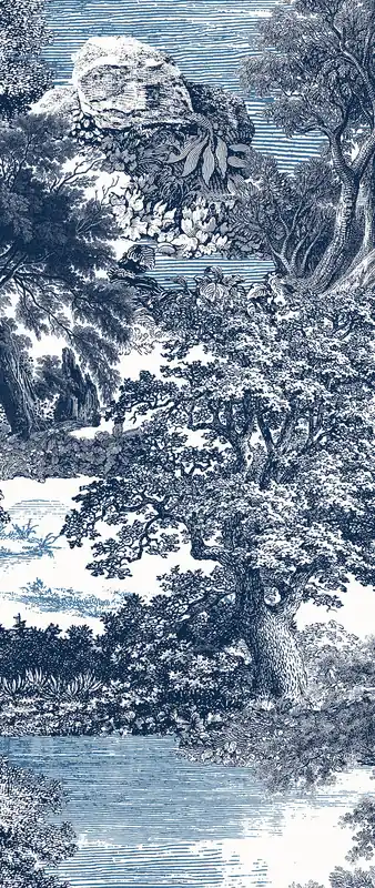 Fototapete, blau, Wald, Bäume, DGSAL1023-260, Amazone, Masureel Beliebt
