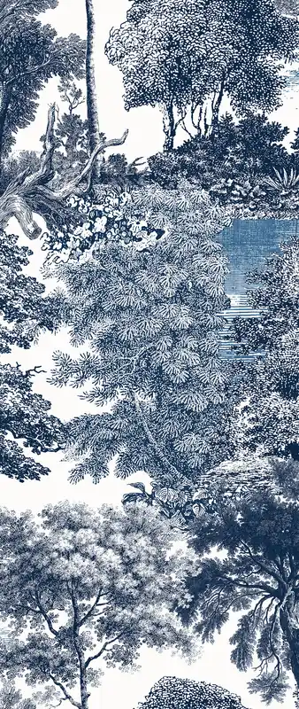 Fototapete, blau, Wald, Bäume, DGSAL1024-260, Amazone, Masureel Günstig