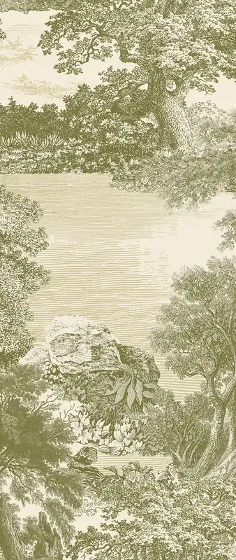 Fototapete, grün, Wald, Bäume, DGSAL1031-300, Amazone, Masureel Nur Für Kurze Zeit