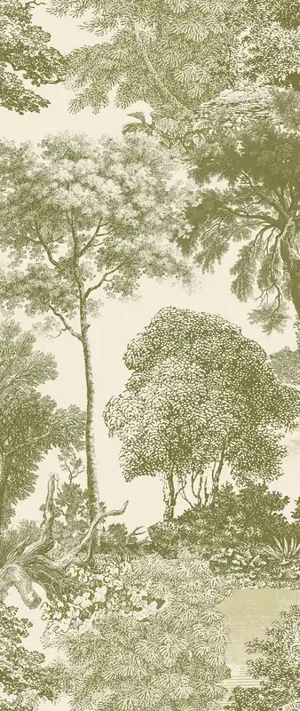 Fototapete, grün, Wald, Bäume, DGSAL1032-300, Amazone, Masureel Beliebt