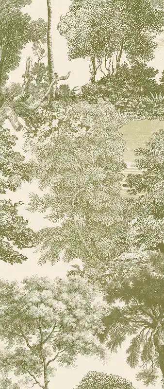 Fototapete, grün, Wald, Bäume, DGSAL1034-300, Amazone, Masureel Markenprodukt