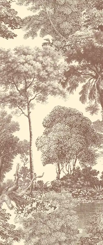 Fototapete, braun, Wald, Bäume, DGSAL1042-300, Amazone, Masureel Abverkauf