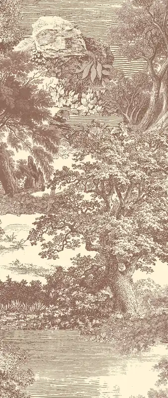 Fototapete, braun, Wald, Bäume, DGSAL1043-260, Amazone, Masureel Top-Seller