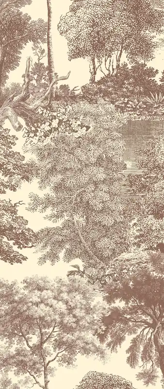 Fototapete, braun, Wald, Bäume, DGSAL1044-300, Amazone, Masureel Letzte Chance