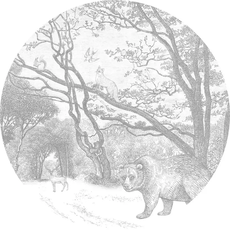 Neue Ware Selbstklebende kreisförmige Tapete Waldtiere 159070, Durchmesser 70 cm, Forest Friends, Esta