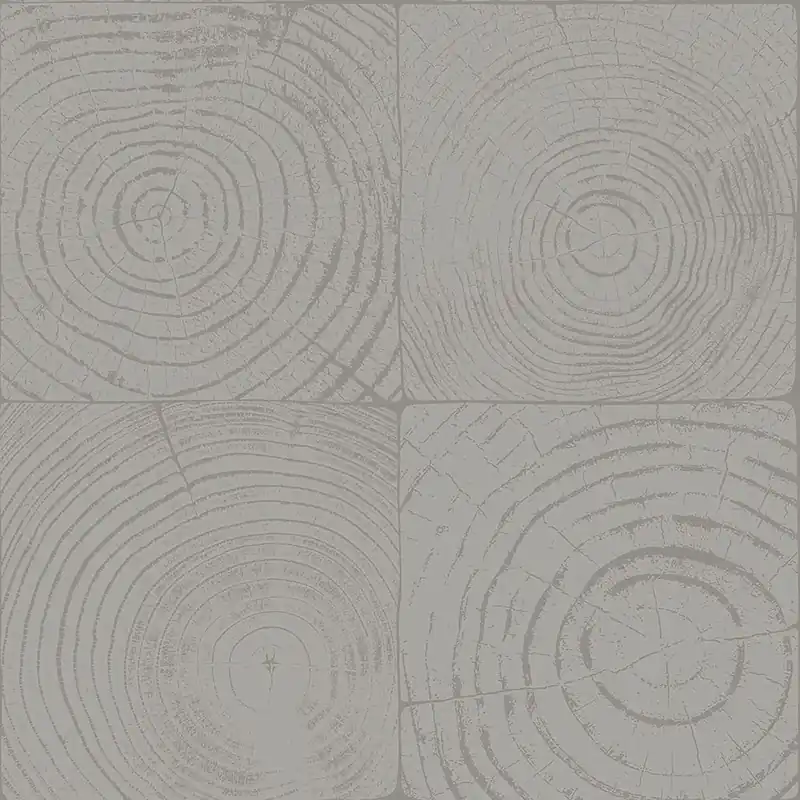 Tapete in grauer Holzoptik mit Jahresringen, 347548, Matières - Wood, Origin Saisonangebot