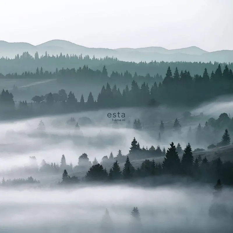 Vlies-Fototapete, Wald, Bäume, 158910, 2,79 x 2,79 m, Scandi cool, Esta Beliebt